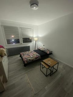 Apartament in Novi Sad - Novi Sad - 3