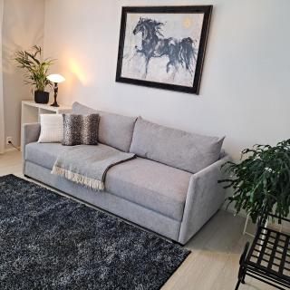 Holiday in the country-only an hour's drive to Rovaniemi - 1