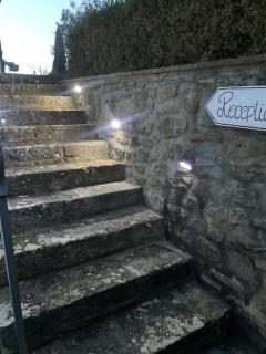 Agriturismo La Fenice - 8