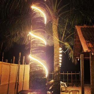 Fika beach homestay alappey - 2