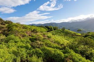 Cabina vista al valle Monteverde - 9