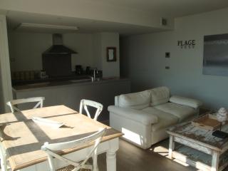 Port rive gauche Iona - Marseillan - 3