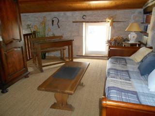 MARAIS POITEVIN bord rivière pêche ,barque, vélos, wifi, linge, cheminée, cuisine, terrain de boules - 5