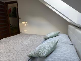 Apartmán Břevnov - 1