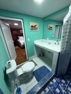 Caribou - Monterrico - 1