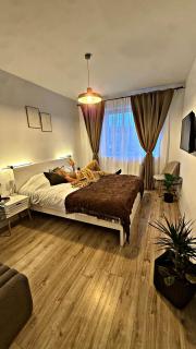 VerdeViu - Oradea - 1