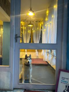 MADLERS by Oakland House - 0