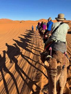 Bivouac beauté du désert - 6