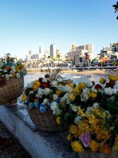 Kitnet ótima localização no Rio Vermelho - 8