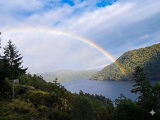 Horizon Suite-Baylight - 9