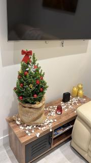 Art de vie Apparemment Paris I CDG I ORLY I DISNEY I ASTÉRIX - 7