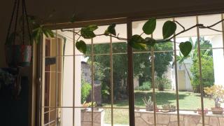 La casa de Mirta Habitaciones en Córdoba - 5