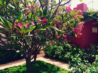 villa Atlantique - 9