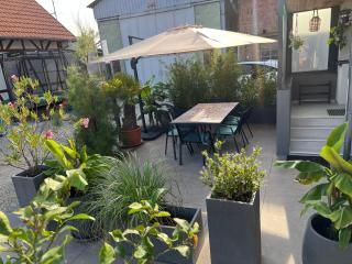 Mon petit chez soi en Alsace - 9