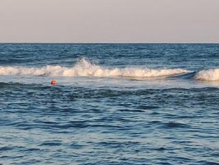 Garden of Eden - Panorama C15 Rey&Mar - Sveti Vlas - 7