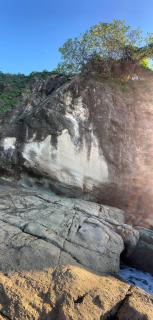 Green Point Medusa - 4