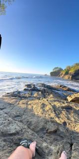 Green Point Medusa - 2