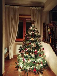 Benesié - Villa with castle view - 9