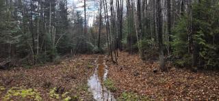 Charming Country Retreat with Scenic Views for 1 - 12 guests - 1