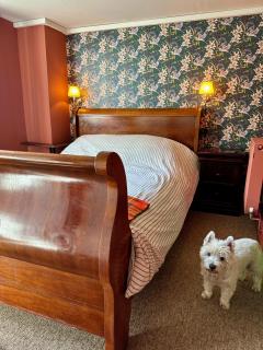 The Old Forge B&B and Glamping - 4