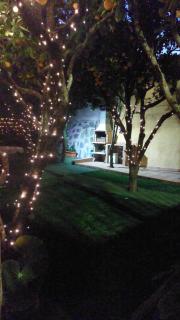 La casa de los naranjos - 7