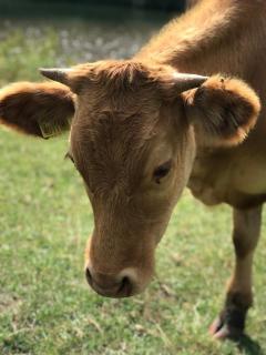 Walker Peak Cottage - 1