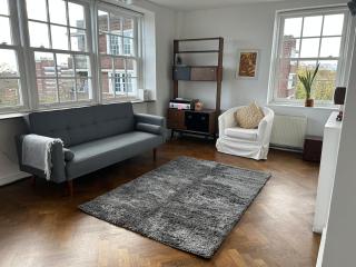 Leafy top floor apartment -views over London - London - 2