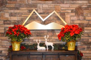 The Lodge at Flat Rock - Upward - 0