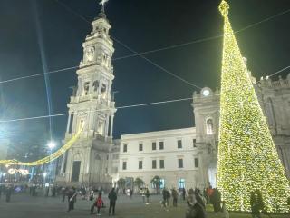 Sky and Green Luxury Apartament - 5