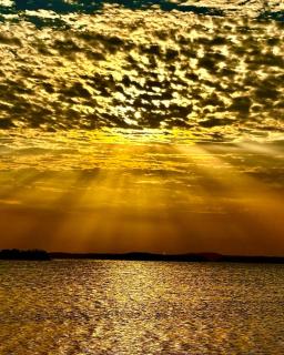 Safari Abu Simbel - 9