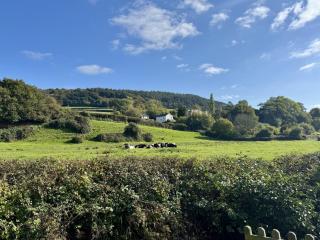 Charming Dog-Friendly Guesthouse - 1