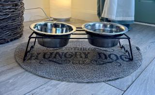 Charming Dog-Friendly Guesthouse - 7