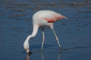 La Casa EcoExplor - 6