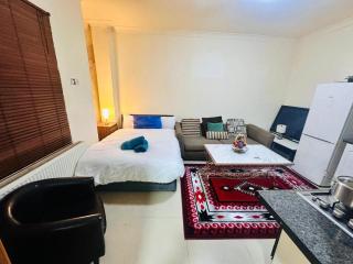 London W12 Apartment Near Westfield and Heathrow - Londen - 9