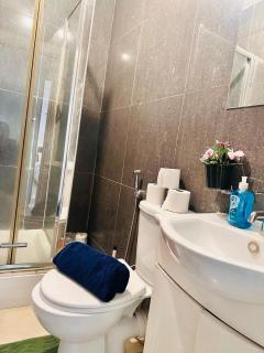 London W12 Apartment Near Westfield and Heathrow - London - 6