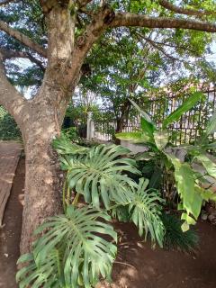 Bird of Paradise Eco Lodge - 6