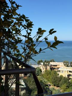 Dream Land Oasis - 8