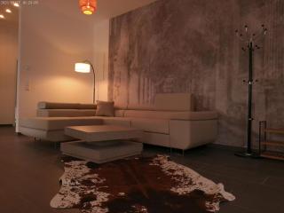 Neu gebaut - Modern - Apartments - Boardinghouse Weiße Taube - 8