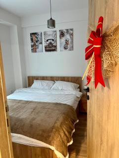 Titik Apartments Mavrovo - 9