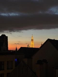 Spacious luxurious 1 bedroom stay in the city center - Anversa - 7