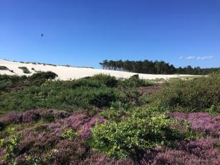 Elements The Residence Luxe villa en guesthouse - 1