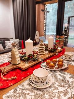 LEŚNY LUZ domek z jacuzzi w lesie nad jeziorem, duży taras, ognisko, gril, basen - 6