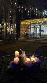 LEŚNY LUZ domek z jacuzzi w lesie nad jeziorem, duży taras, ognisko, gril, basen - 2