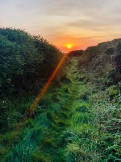 Little Croft- Walking paradise close to St Ives - 3
