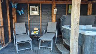 Dalerheugte Drenthe Vakantiehuisje Wellness 4 met jacuzzi, prachtig uitzicht en twee slaapkamers - Dalerveen - 2