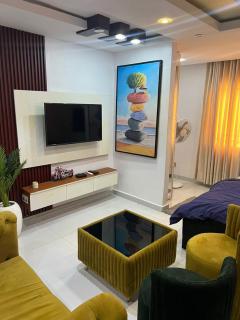 Newly Furnished Studio Apartment - Lagos - 2