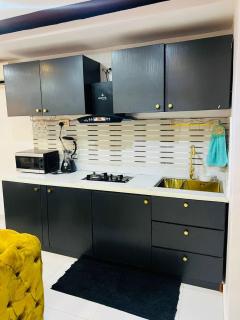 Newly Furnished Studio Apartment - Lagos - 1