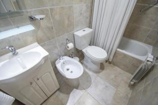 Orquídea del Sur - 2