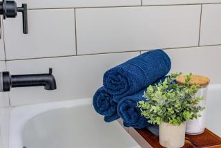 Luxury STL Oasis Sauna, Firepit, HotTub and Games - 3