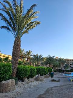 Palma chalet 169 - 7